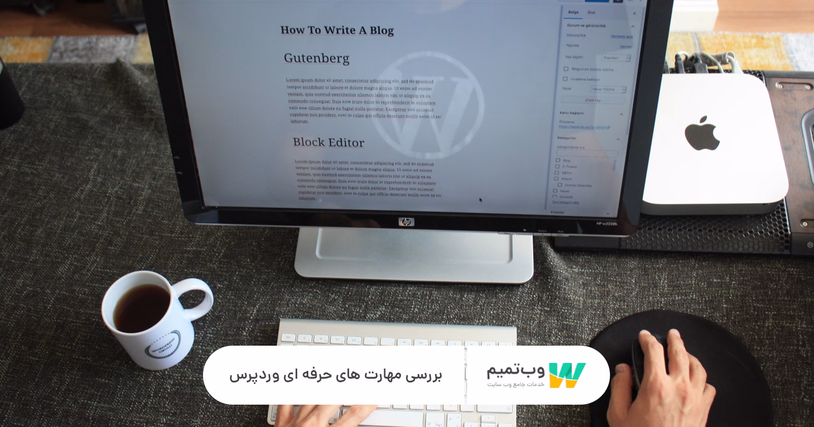 مهارت حرفه ای وردپرس در طراحی سایت   وب تمیم
